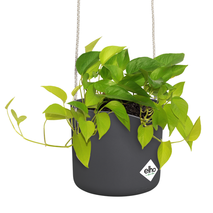 b.for swing 18cm anthracite